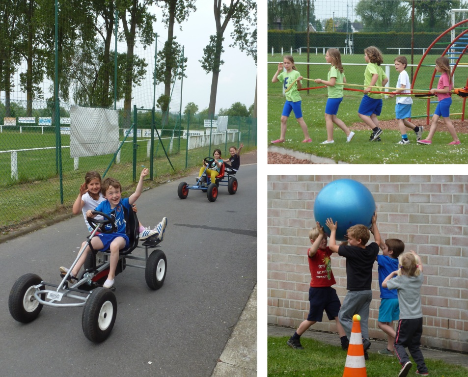 Zedelgem sportdag op maat